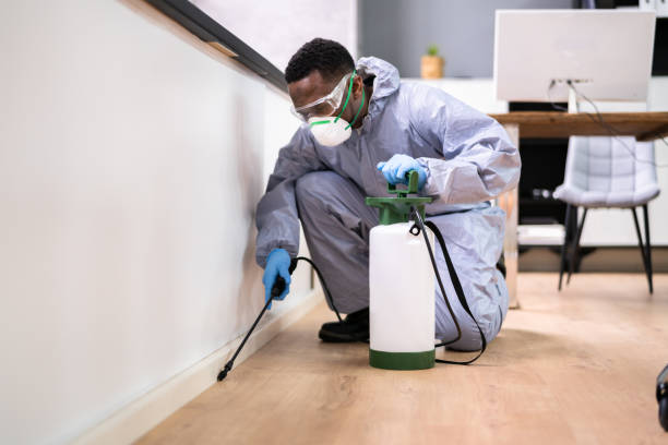 Best Bed Bug Extermination  in Fayetteville, GA